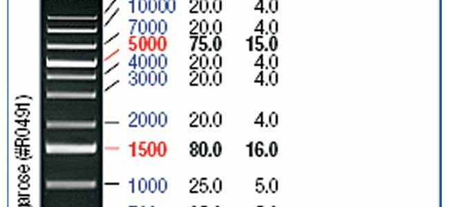 KB Plus: Herramienta de Gestión de Datos y Análisis Empresarial | Descubre sus Funciones