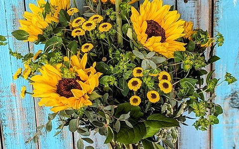 Flores de Maricopa: Coloridos Jardines del Desierto con Esencia Occidental