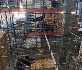 Imagen de John’s Feed 2: última actualización de contenido digital