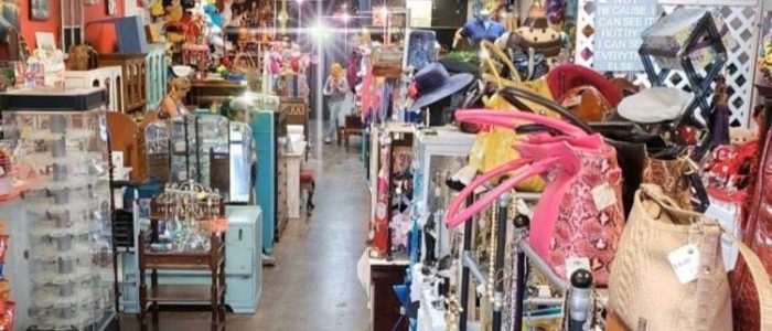 Minnies: Tesoros Ocultos – Descubre la Colección Secreta de Miniaturas y Sorpresas