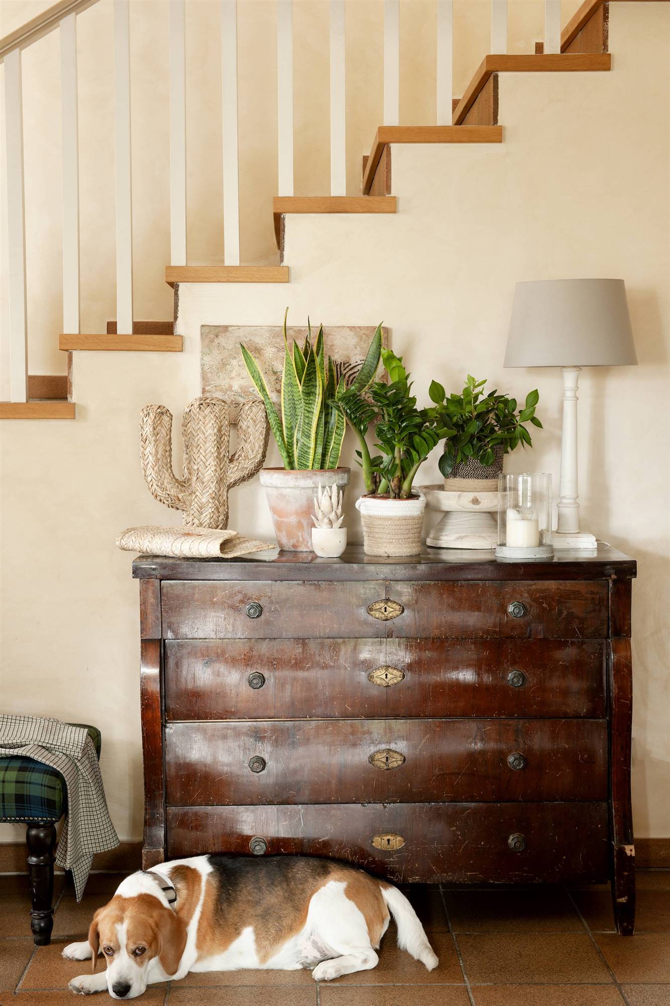 Cómodas Antiguas: Encanto Vintage para tu Hogar – Muebles y Estilo Único
